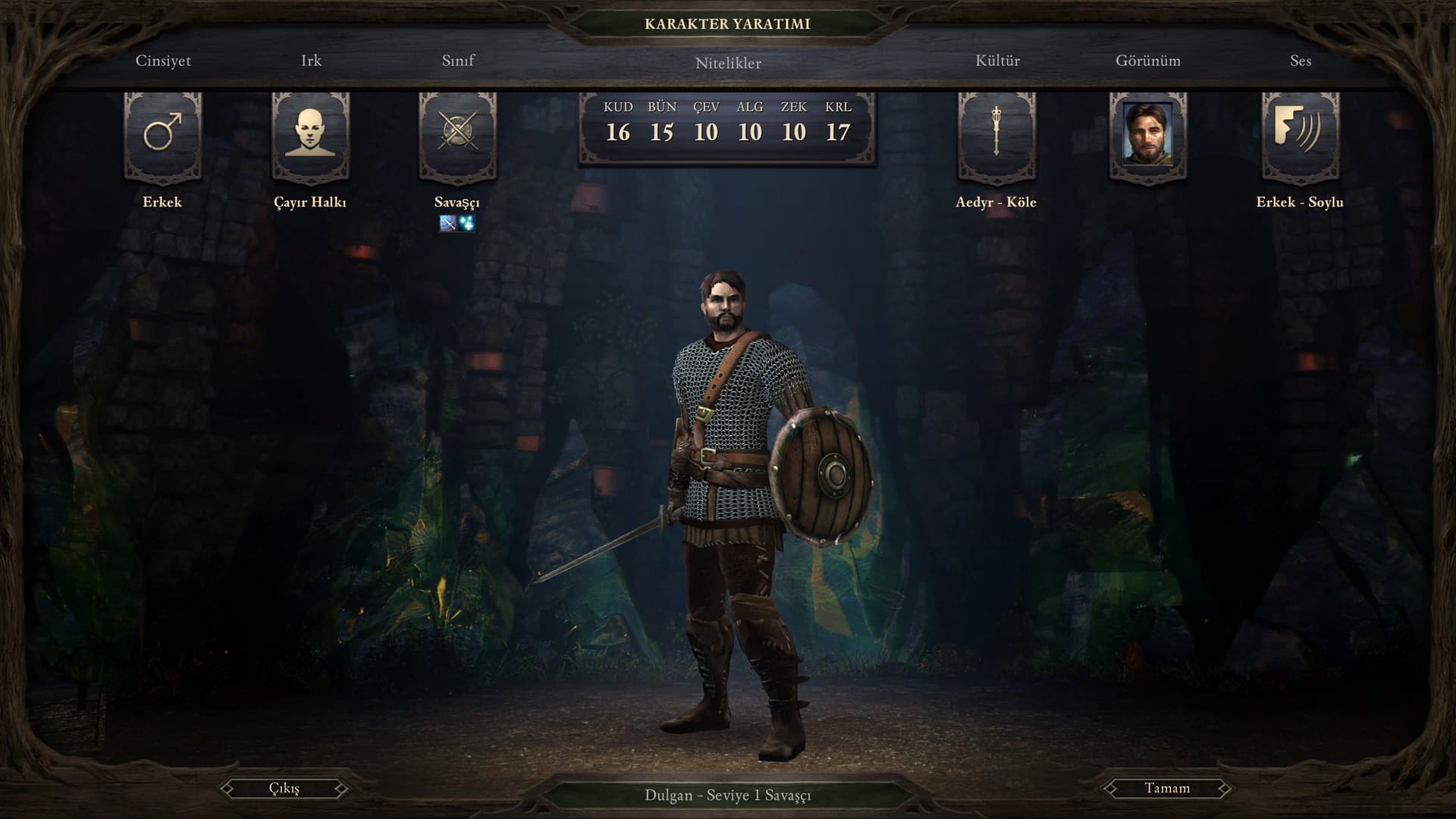 Pillars of Eternity Türkçe yama ekran görüntüsü 2