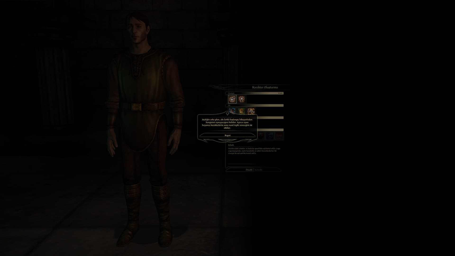 Dragon Age: Origins Türkçe yama ekran görüntüsü 2